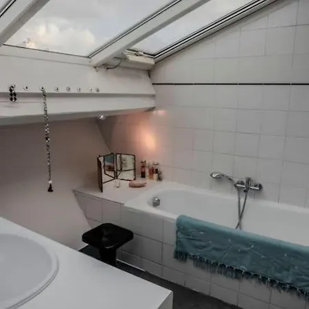 Sacr-coeur View Skylight Haven Paris